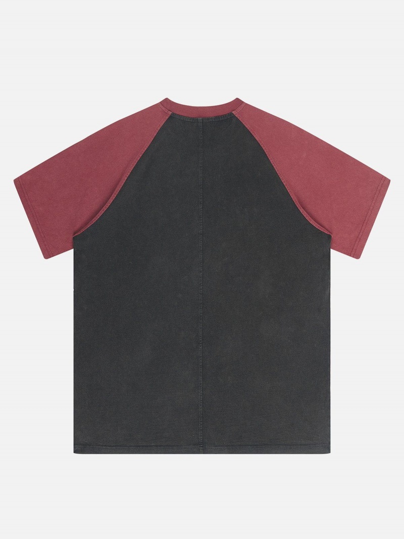 Rouge  T Shirts Aelfric Eden Colorblock Raglan Washed Tee - WFX-3155535